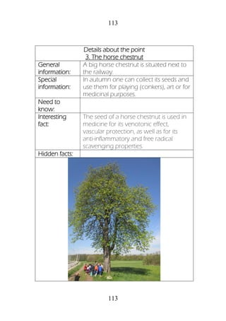 113
113
Details about the point
3. The horse chestnut
General
information:
A big horse chestnut is situated next to
the railway.
Special
information:
In autumn one can collect its seeds and
use them for playing (conkers), art or for
medicinal purposes.
Need to
know:
Interesting
fact:
The seed of a horse chestnut is used in
medicine for its venotonic effect,
vascular protection, as well as for its
anti-inflammatory and free radical
scavenging properties.
Hidden facts:
 