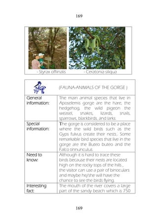 169
169
- Styrax offiinalis - Ceratonia siliqua
(FAUNA-ANIMALS OF THE GORGE )
General
information:
The main animal species that live in
Aposelemis gorge are the hare, the
hedgehog, the wild pigeon the
weasel, snakes, lizards, snails,
sparrows, blackbirds, and larks.
Special
information:
Τhe gorge is considered to be a place
where the wild birds such as the
Gyps fulvus create their nests.. Some
remarkable bird species that live in the
gorge are the Buteo buteo and the
Falco tinnunculus.
Need to
know:
Although it is hard to trace these
birds because their nests are located
high on the rocky tops of the hills ,
the visitor can use a pair of binoculars
and maybe he/she will have the
chance to see the birds flying.
Interesting
fact:
The mouth of the river covers a large
part of the sandy beach which is 750
 