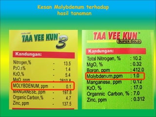 Kesan Molybdenum terhadap
hasil tanaman
 