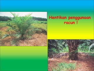 Hentikan penggunaan
racun !
 