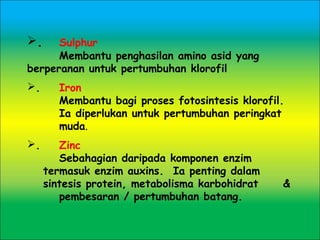 . Sulphur 
Membantu penghasilan amino asid yang
berperanan untuk pertumbuhan klorofil
. Iron 
Membantu bagi proses fotosintesis klorofil.
Ia diperlukan untuk pertumbuhan peringkat
muda.
. Zinc
Sebahagian daripada komponen enzim
termasuk enzim auxins. Ia penting dalam
sintesis protein, metabolisma karbohidrat &
pembesaran / pertumbuhan batang.
 