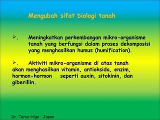 Mengubah sifat biologi tanah
. Meningkatkan perkembangan mikro-organisme
tanah yang berfungsi dalam proses dekomposisi
yang menghasilkan humus (humification).
. Aktiviti mikro-organisme di atas tanah
akan menghasilkan vitamin, antioksida, enzim,
hormon-hormon seperti auxin, sitokinin, dan
giberillin.
Dr. Teruo Higa - Japan
 
