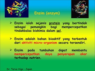 Enzim (enzym)
 Enzim ialah sejenis protein yang bertindak
sebagai pemangkin bagi mempercepatkan
tindakbalas biokimia dalam sel.
 Enzim adalah bahan bioaktif yang terbentuk
dari aktiviti micro-organism secara tersendiri.
 Enzim pada tumbuhan dapat membantu
mempercepatkan daya penyerapan akar
terhadap nutrien.
Dr. Teruo Higa - Japan
 