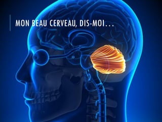 Timothy Warlow, Univ. Of Texas, http://www.brainfacts.org/brain-basics/neuroanatomy/articles/2011/brain-
brain-the-magical...