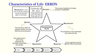 Cells Tissues Organs Systems Organism
Reproduction
Response
Organisation
Nutrition
Excretion
Characteristics
Of Life
Characteristics of Life- ERRON
The ordered way in
which living
organisms are
arranged anatomically
and socially.
Metabolism is the
sum of all the chemical
reactions that take
place in the body
Continuity of
life. Where
living organisms
arise from other
living organisms
The process of getting rid of waste
products of metabolism.
Is how organisms react to
stimuli in their environment.
The production of new individuals.
Life comes from life.
The process by which an
organism obtains and uses
food from its environment
 