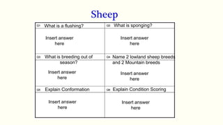 Insert answer
here
Explain Condition Scoring
Name 2 lowland sheep breeds
and 2 Mountain breeds
Explain Conformation
What is breeding out of
season?
What is a flushing? What is sponging?
Insert answer
here
Insert answer
here
Insert answer
here
Insert answer
here
Insert answer
here
Sheep
 