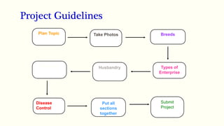 Project Guidelines
Plan Topic Take Photos Breeds
Housing Husbandry Types of
Enterprise
Disease
Control
Put all
sections
together
Submit
Project
 