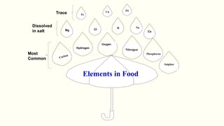Na
Zn
Cu
Fe
Phosphorus
Mg
Nitrogen
Elements in Food
Hydrogen
Ca
Oxygen
Sulphur
Most
Common
Dissolved
in salt
Trace
 