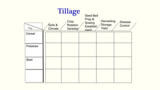 Cereal
Potatoes
Beet
Soils &
Climate
Seed Bed
Prep &
Sowing
Establish
ment.
Crop
Rotation
Varieties
Harvesting
Storage
Yield
Tillage
Disease
Control
 