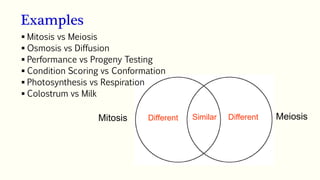 Examples
Mitosis Meiosis
Different Different
Similar
 Mitosis vs Meiosis
 Osmosis vs Diffusion
 Performance vs Progeny Testing
 Condition Scoring vs Conformation
 Photosynthesis vs Respiration
 Colostrum vs Milk
 