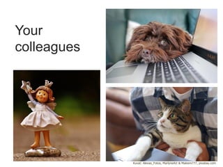 Your
colleagues
Kuvat: Alexas_Fotos, MarlyneArt & Makieni777, pixabay.com
 