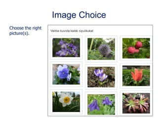 Image Choice
Choose the right
picture(s).
 