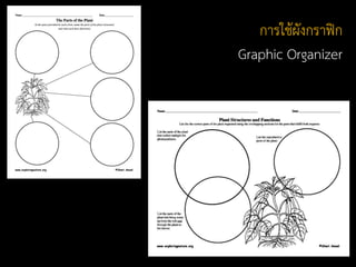 การใช้ผังกราฟิก
Graphic Organizer
 