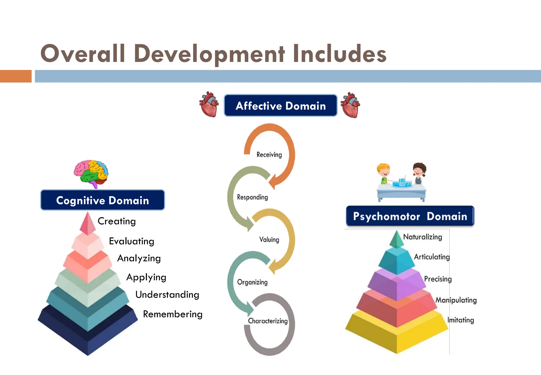 Overall Development Includes
Cognitive Domain
Creating
Evaluating
Analyzing
Applying
Understanding
Remembering
Affective Domain
 