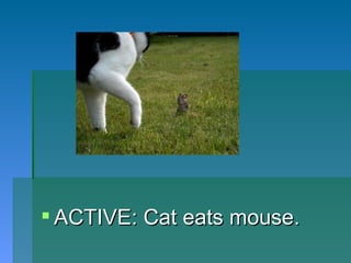 <ul><li>ACTIVE: Cat eats mouse. </li></ul>