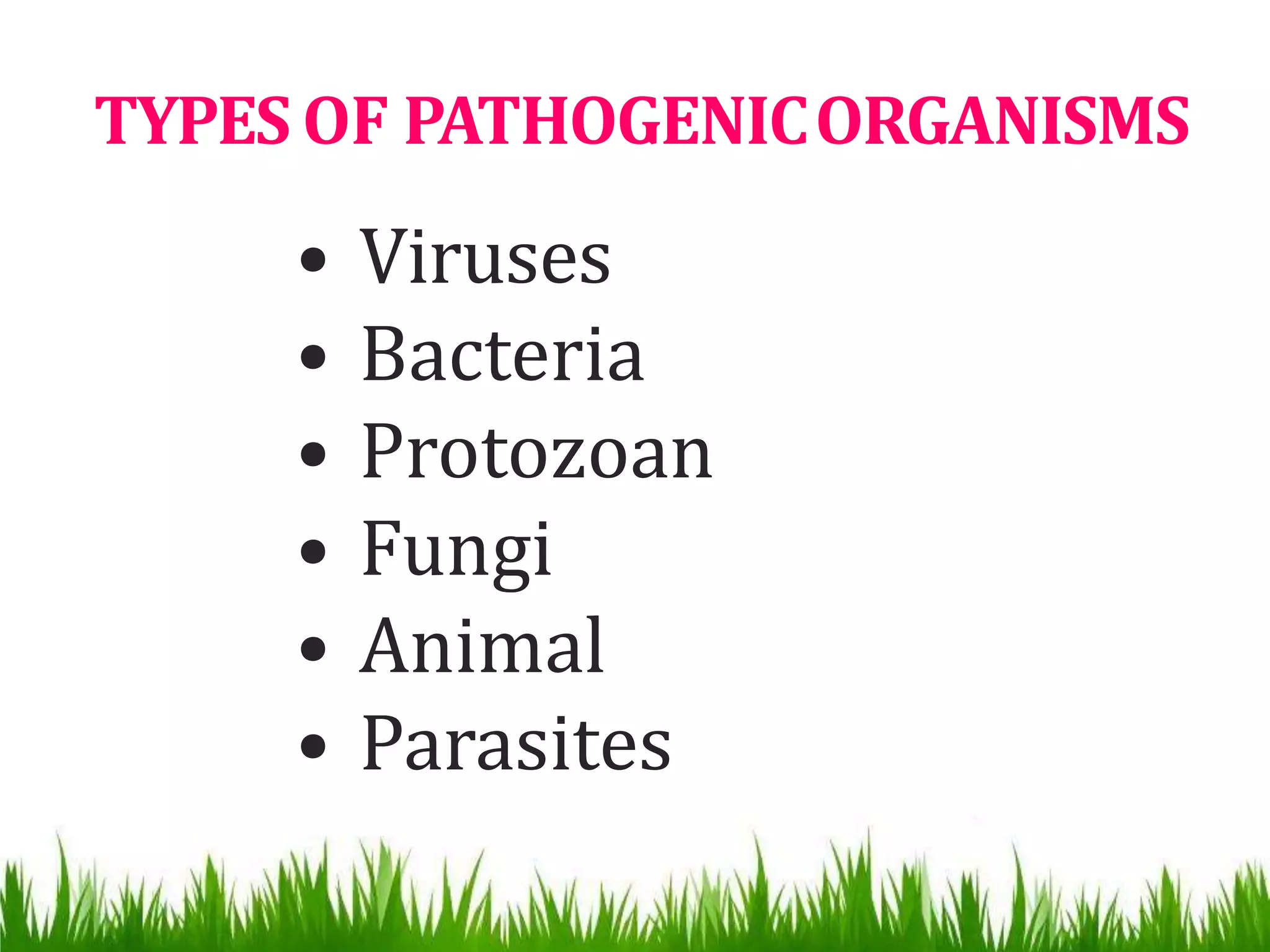 Active and passive immunity ppt