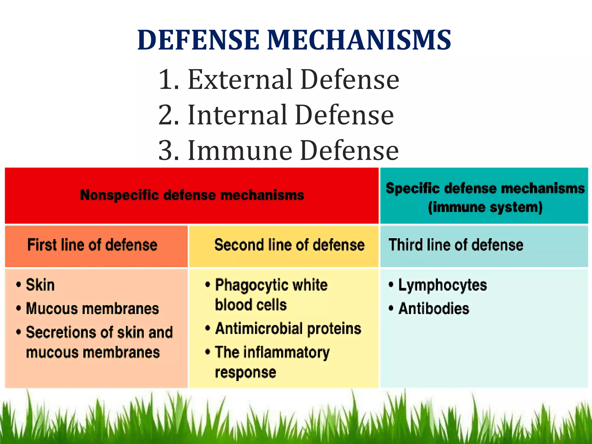 Active and passive immunity ppt