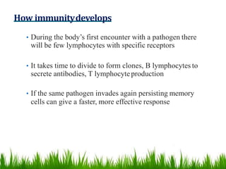 How immunitydevelops
• During the body’s first encounter with a pathogen there
will be few lymphocytes with specific receptors
• It takes time to divide to form clones, B lymphocytes to
secrete antibodies, T lymphocyteproduction
• If the same pathogen invades again persisting memory
cells can give a faster, more effective response
 