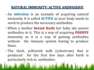 • An infection is an example of acquiring natural
immunity. It is called ACTIVE as your body needs to
work to produce the necessary antibodies
• When a mother breast feeds her baby she passes
antibodies to it. This is a way of acquiring PASSIVE
immunity as it is a way of gaining antibodies
without the immune system having to produce
them.
• The thick, yellowish milk (colostrum) that is
produced for the first few days after birth is
particularly rich in antibodies.
NATURAL IMMUNITY: ACTIVE ANDPASSIVE
 
