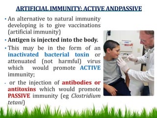 ARTIFICIAL IMMUNITY: ACTIVE ANDPASSIVE
• An alternative to natural immunity
developing is to give vaccinations
(artificial immunity)
• Antigen is injected into the body.
• This may be in the form of an
inactivated bacterial toxin or
attenuated (not harmful) virus
which would promote ACTIVE
immunity;
• or the injection of antibodies or
antitoxins which would promote
PASSIVE immunity (eg Clostridium
tetani)
 