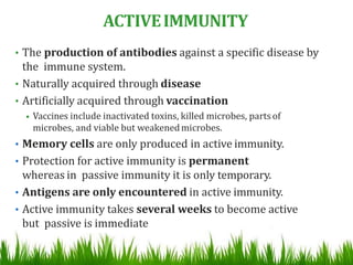 • The production of antibodies against a specific disease by
the immune system.
• Naturally acquired through disease
• Artificially acquired through vaccination
• Vaccines include inactivated toxins, killed microbes, partsof
microbes, and viable but weakenedmicrobes.
• Memory cells are only produced in active immunity.
• Protection for active immunity is permanent
whereas in passive immunity it is only temporary.
• Antigens are only encountered in active immunity.
• Active immunity takes several weeks to become active
but passive is immediate
ACTIVEIMMUNITY
 