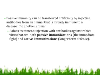 • Passive immunity can be transferred artificially by injecting
antibodies from an animal that is already immune to a
disease into another animal.
• Rabies treatment: injection with antibodies against rabies
virus that are both passive immunizations (the immediate
fight) and active immunizations (longer term defense).
 