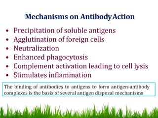 Mechanisms on AntibodyAction
• Precipitation of soluble antigens
• Agglutination of foreign cells
• Neutralization
• Enhanced phagocytosis
• Complement activation leading to cell lysis
• Stimulates inflammation
The binding of antibodies to antigens to form antigen-antibody
complexes is the basis of several antigen disposal mechanisms
 