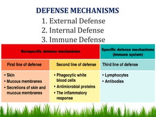 DEFENSE MECHANISMS
1. External Defense
2. Internal Defense
3. Immune Defense
 