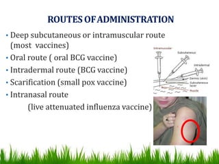 ROUTES OFADMINISTRATION
• Deep subcutaneous or intramuscular route
(most vaccines)
• Oral route ( oral BCG vaccine)
• Intradermal route (BCG vaccine)
• Scarification (small pox vaccine)
• Intranasal route
(live attenuated influenza vaccine)
 
