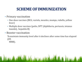 SCHEME OFIMMUNIZATION
• Primary vaccination
• One dose vaccines (BCG, variola, measles, mumps, rubella, yellow
fever)
• Multiple dose vaccines (polio, DPT (diphtheria, pertussis, tetanus
toxoids), hepatitis B)
• Booster vaccination
Tomaintain immunity level after it declines after some time has elapsed
(DT,
MMR).
 