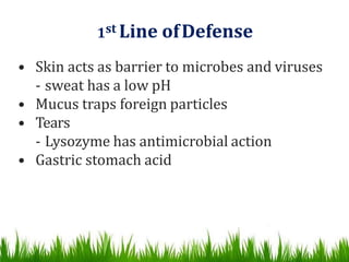• Skin acts as barrier to microbes and viruses
- sweat has a low pH
• Mucus traps foreign particles
• Tears
- Lysozyme has antimicrobial action
• Gastric stomach acid
1st Line ofDefense
 