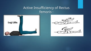 Active and passive insufficiency Kinseology pptx. | PPTX