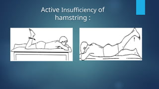 Active and passive insufficiency Kinseology pptx. | PPTX