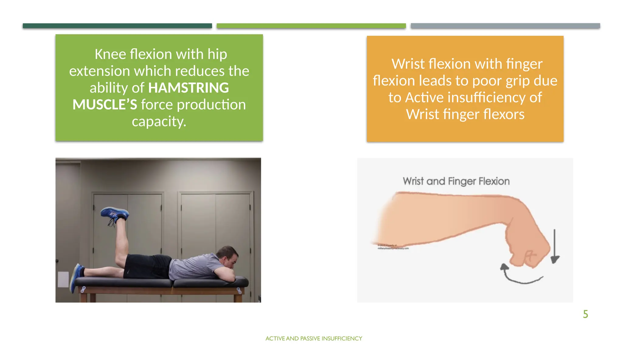 Active passive insufficiency , Kinesiology - Aayushi Bodiwala | PPTX