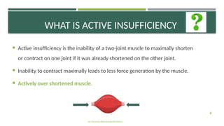 Active passive insufficiency , Kinesiology - Aayushi Bodiwala | PPTX