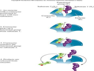 ACTIVE SITE of an enzyme | PPTX