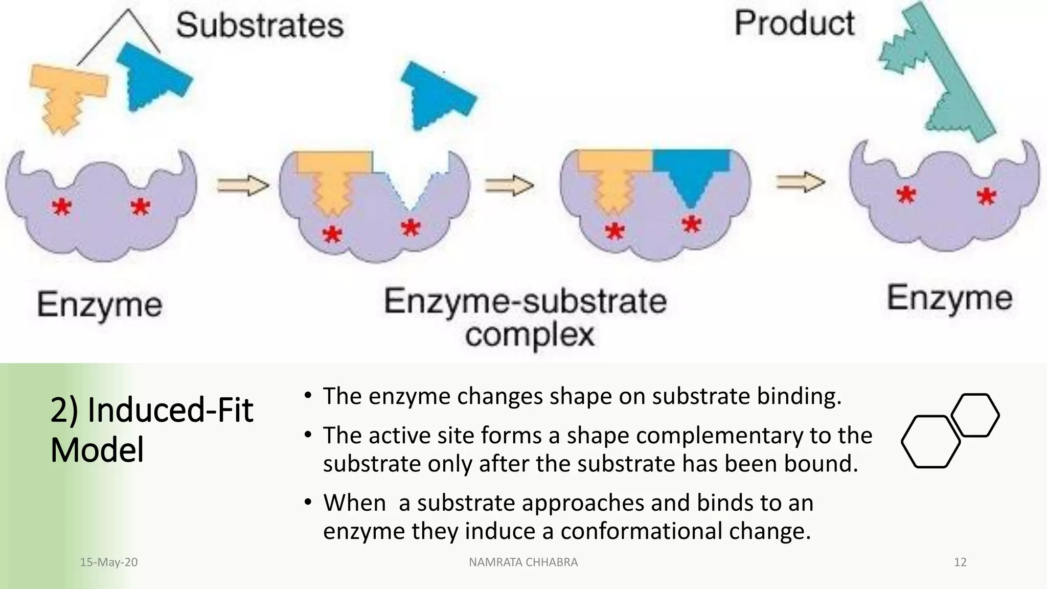 Active site of an enzyme | PDF