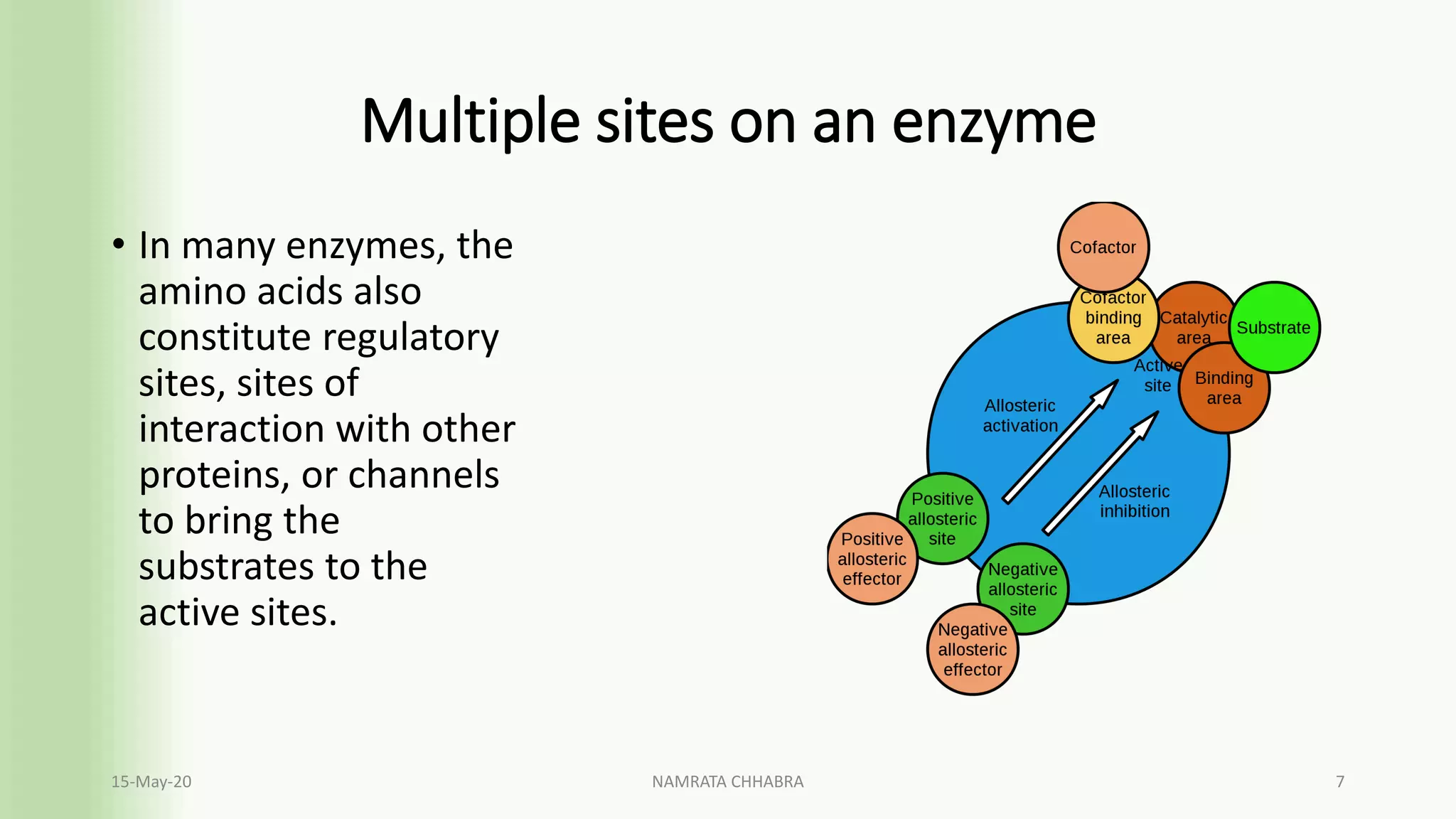 Active site of an enzyme | PDF