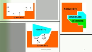 Active site of an enzyme | PDF