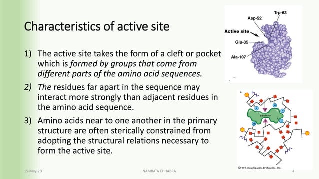 Active site of an enzyme | PDF