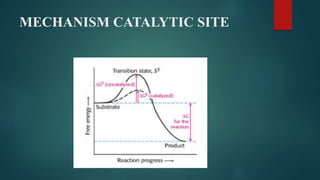 MECHANISM CATALYTIC SITE
 
