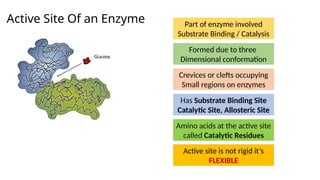 Active Site, Specificity, Cofactors.pptx