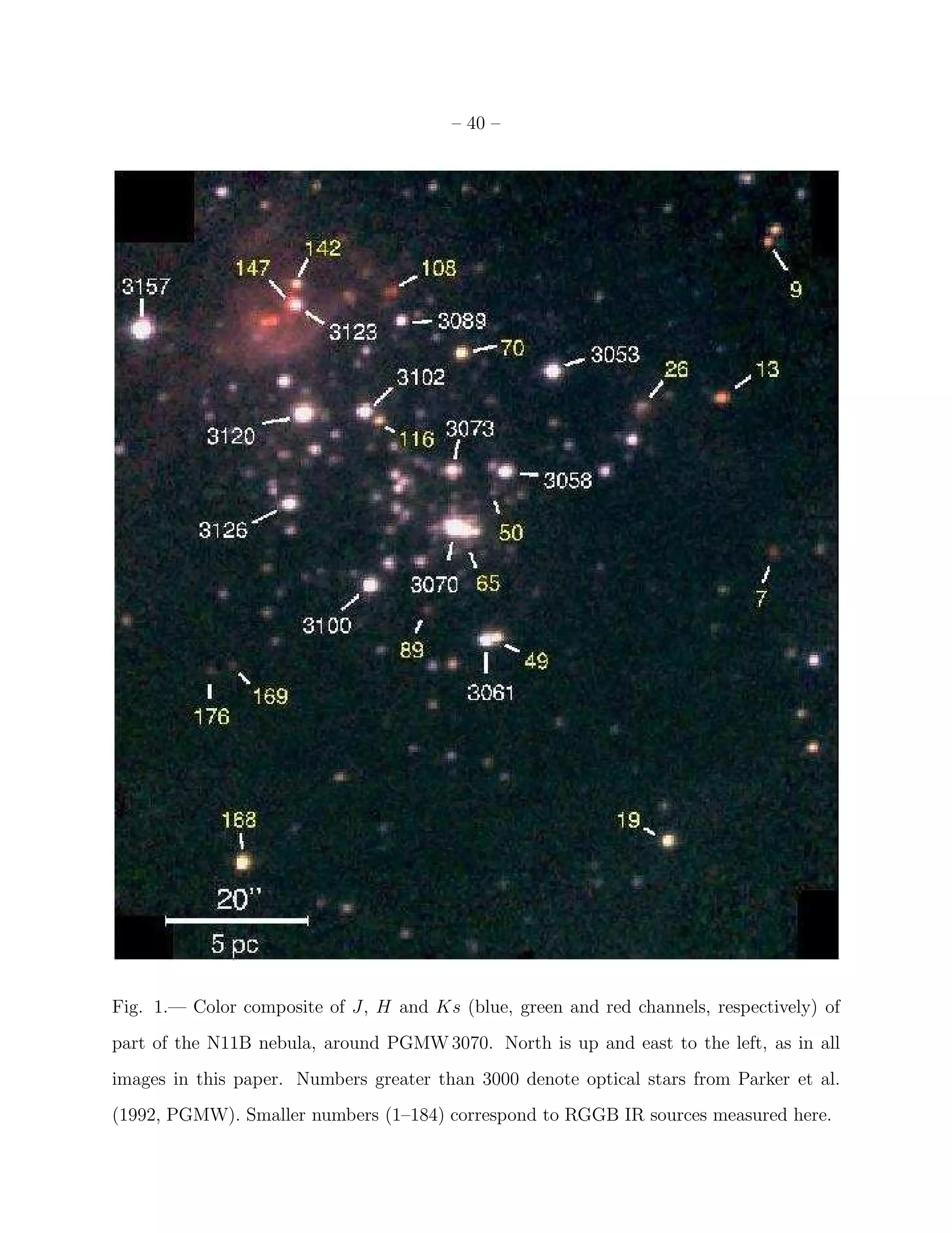– 40 –




Fig. 1.— Color composite of J, H and Ks (blue, green and red channels, respectively) of
part of the N11B nebula, around PGMW 3070. North is up and east to the left, as in all
images in this paper. Numbers greater than 3000 denote optical stars from Parker et al.
(1992, PGMW). Smaller numbers (1–184) correspond to RGGB IR sources measured here.
 