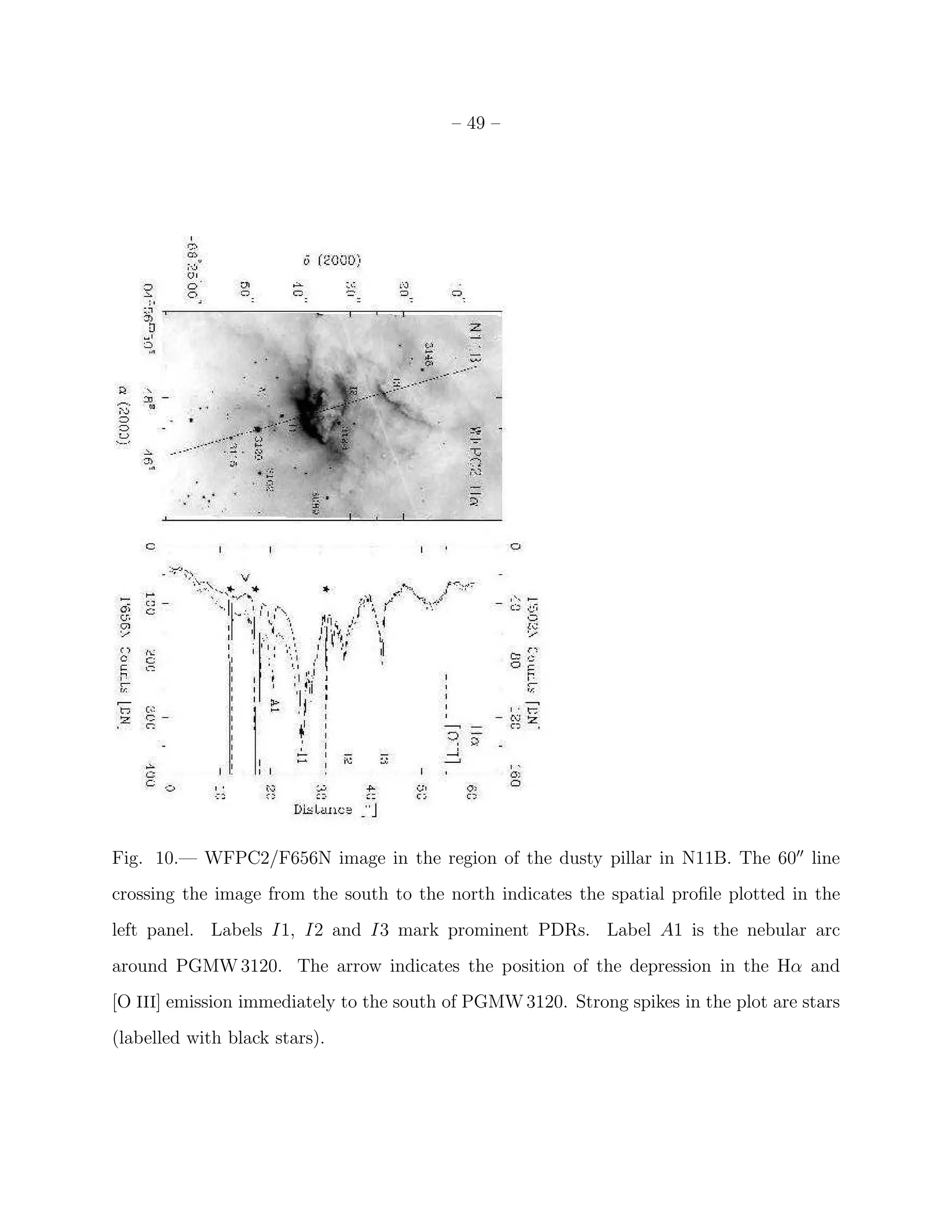 – 49 –




Fig. 10.— WFPC2/F656N image in the region of the dusty pillar in N11B. The 60′′ line
crossing the image from the south to the north indicates the spatial proﬁle plotted in the
left panel. Labels I1, I2 and I3 mark prominent PDRs. Label A1 is the nebular arc
around PGMW 3120. The arrow indicates the position of the depression in the Hα and
[O III] emission immediately to the south of PGMW 3120. Strong spikes in the plot are stars
(labelled with black stars).
 