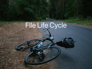 File Life Cycle
 