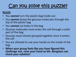 Can you solve this puzzle?
RULES:
• You cannot turn the plastic bag inside out
• You cannot dump the glucose molecules through the
  top of the plastic bag
• You cannot cut holes in the bag
• Glucose molecules must enter the cell through a solid
  part of the bag
• Glucose must remain grouped together once it enters
  the cell
• You are allowed to use your hands on the inside of the
  bag.
• When your group feels like you have figured this
  challenge out, raise your hand so Ms. Bengston can
  check your solution!
 