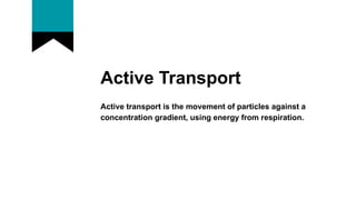 Active Transport
Active transport is the movement of particles against a
concentration gradient, using energy from respiration.
 