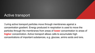 Active transport
During active transport,particles move through membranes against a
concentration gradient. Energy produced in respiration is used to move the
particles through the membranes from areas of lower concentration to areas of
higher concentration. Active transport allows cells to accumulate high
concentrations of important substances, e.g. glucose, amino acids and ions.
 