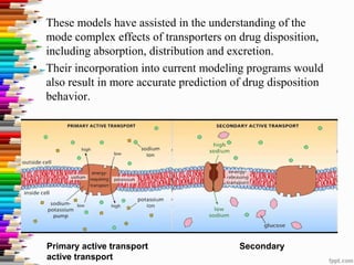 • These models have assisted in the understanding of the
mode complex effects of transporters on drug disposition,
including absorption, distribution and excretion.
• Their incorporation into current modeling programs would
also result in more accurate prediction of drug disposition
behavior.
Primary active transport Secondary
active transport
 