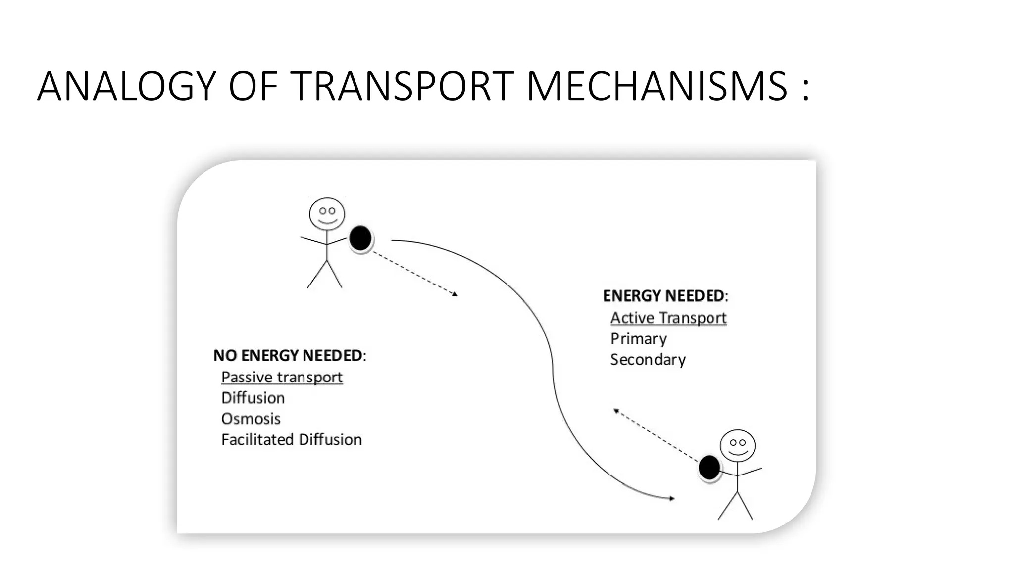 ANALOGY OF TRANSPORT MECHANISMS :
 